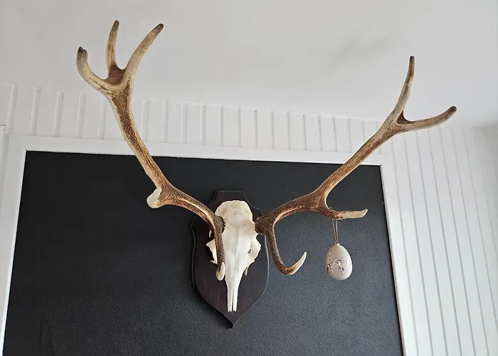 Fan053-fano-norges-fjelde-9 * Fanø